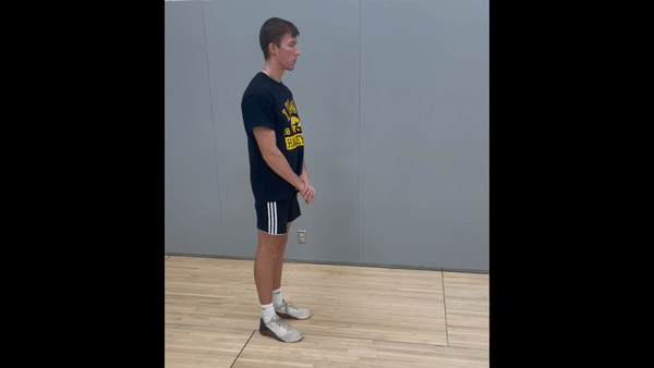 lunges gif 
